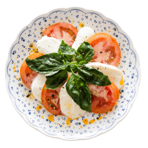 Catering Gericht – Catering Halle (Saale)